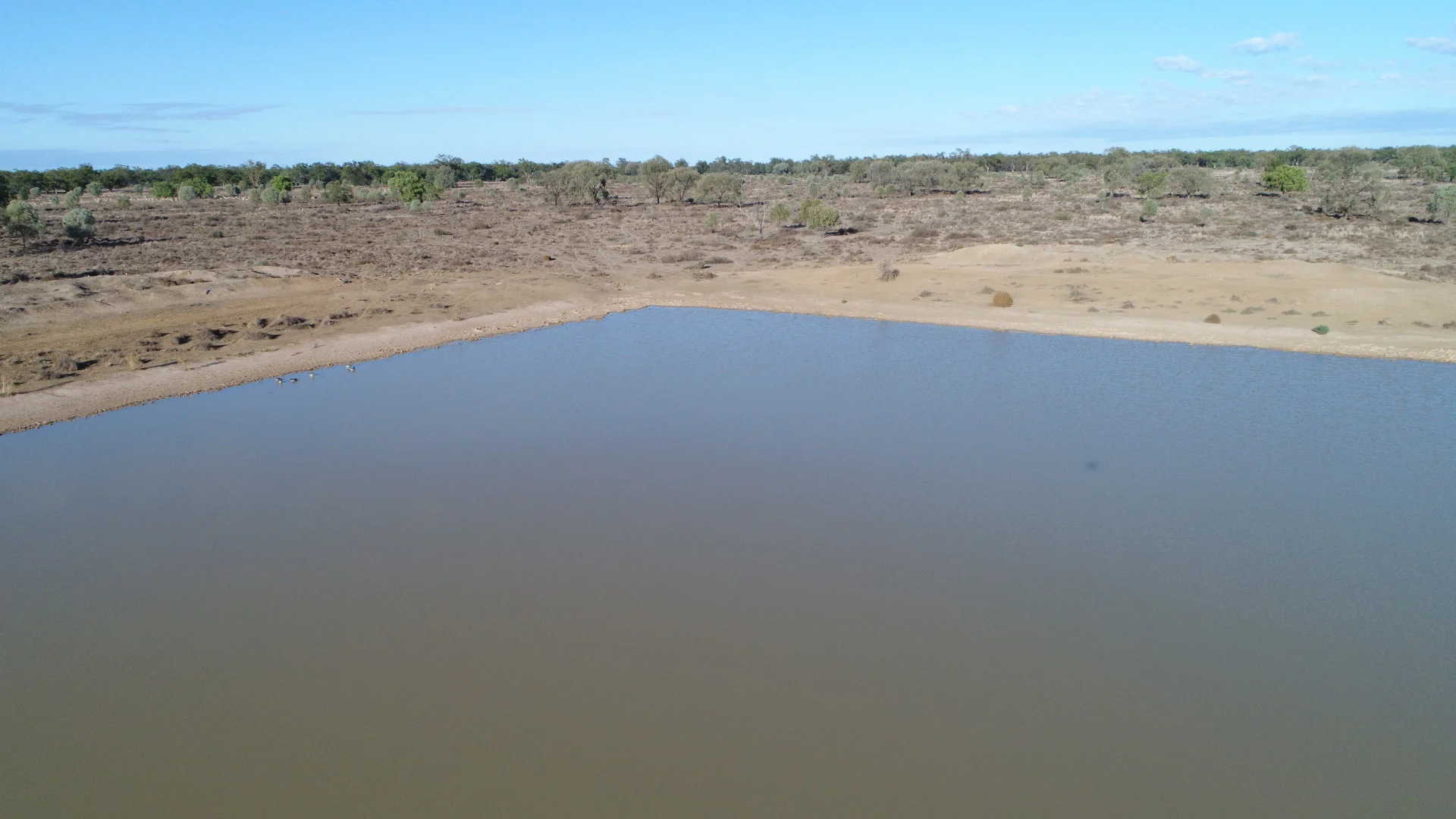 Additional image 7 of Warren NSW 2824