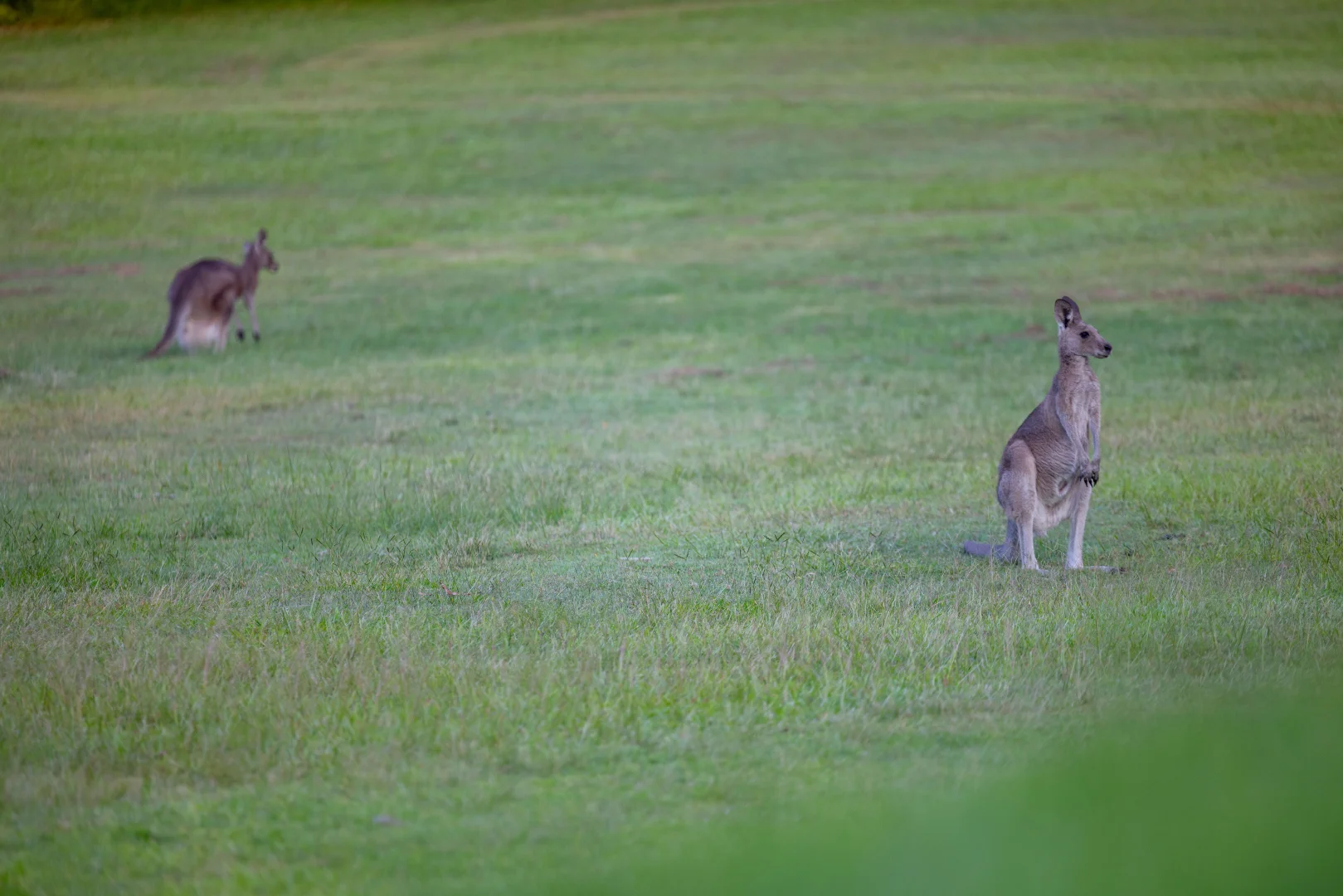 Additional image 45 of 142 Mary River Road, Cooroy QLD 4563