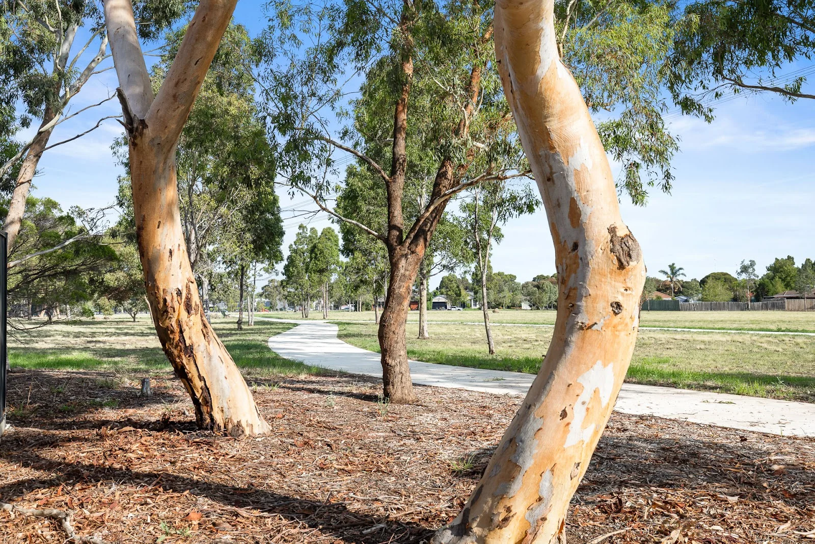 Additional image 16 of 8 Bass Court, Taylors Lakes VIC 3038