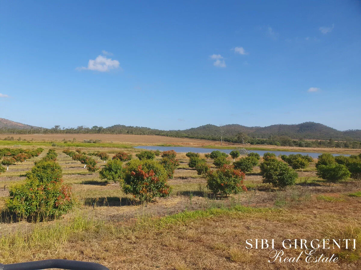 84 Chisari Road, Mutchilba QLD 4872