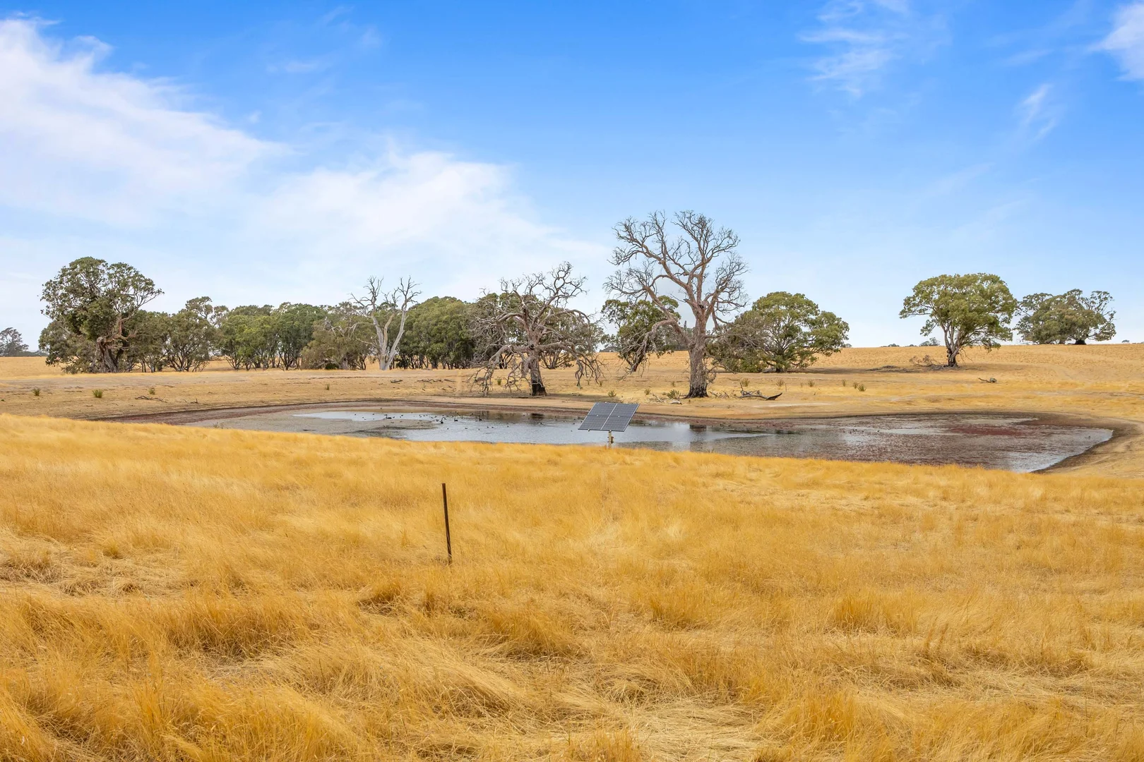 Additional image 14 of 339 Burrumbeep Road, Maroona VIC 3377