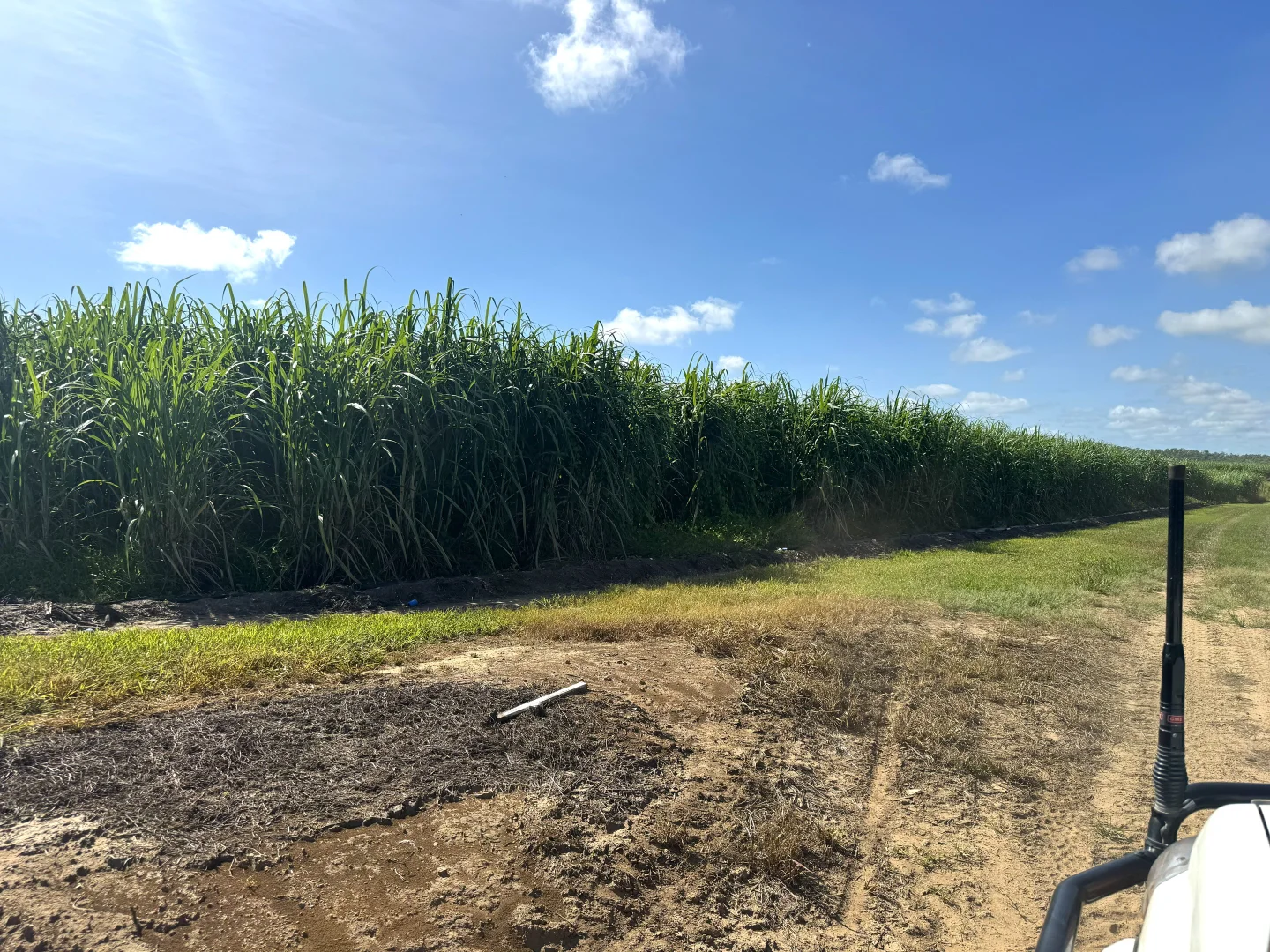 Additional image 7 of 1214 Kirknie Road, Osborne QLD 4806