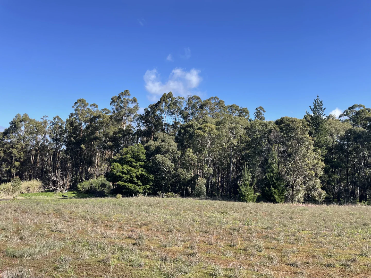 Additional image 3 of Proposed Lots 1-11 Cnr Thornbill Road & Nelson Road, Bridgetown WA 6255