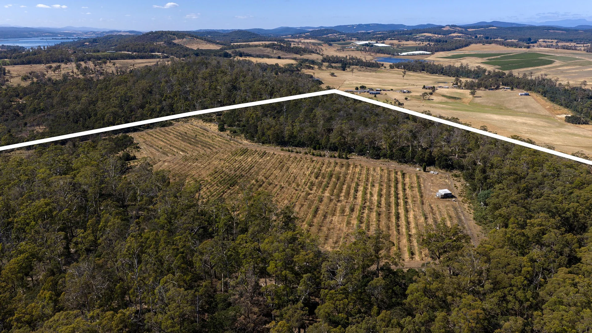 Additional image 5 of 389 Auburn Road, Beaconsfield TAS 7270