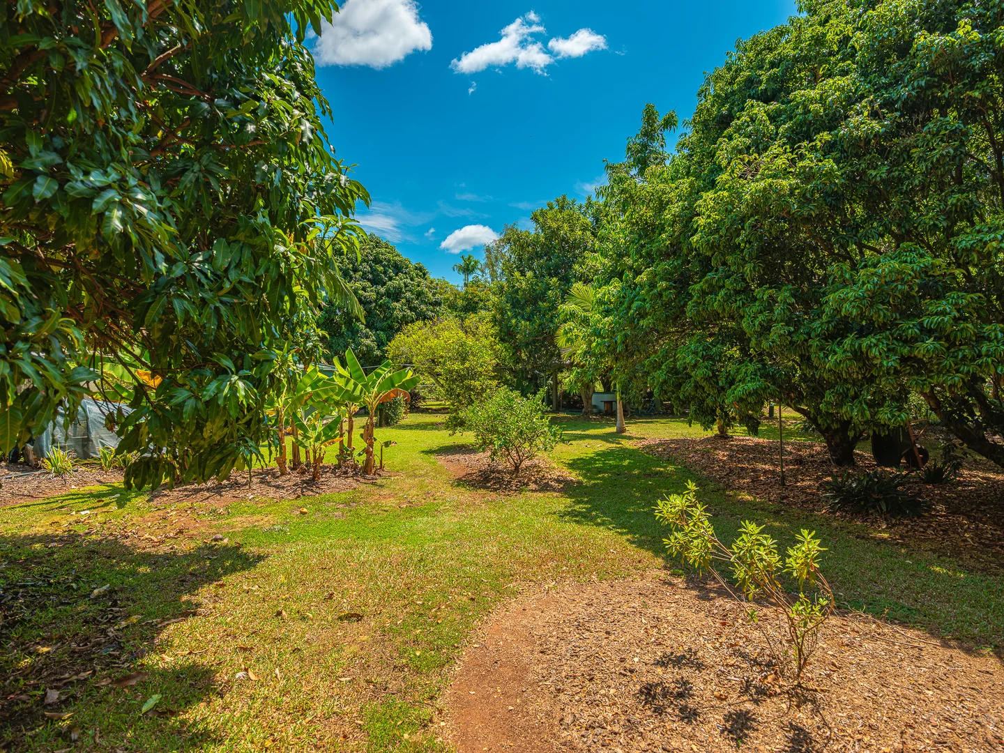 Additional image 44 of 2354 Anderleigh Road, Neerdie QLD 4570