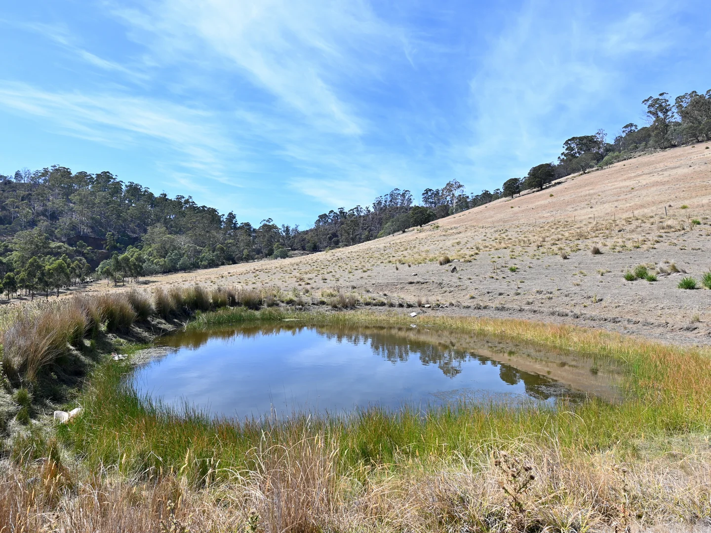 Additional image 22 of 327 Springhill Bottom Road, Colebrook TAS 7027