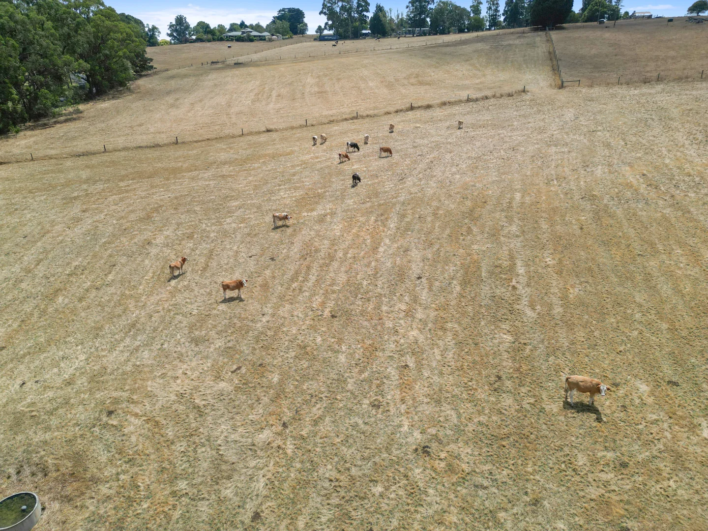 Additional image 28 of 266 Burnt Store Road, Lardner VIC 3821