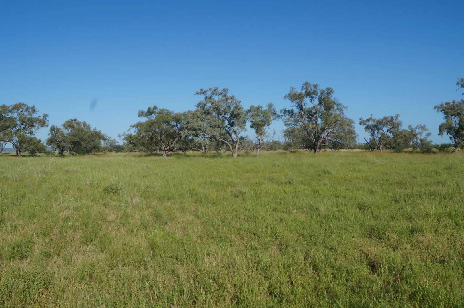 Additional image 16 of 1 Baratria Road, Longreach QLD 4730
