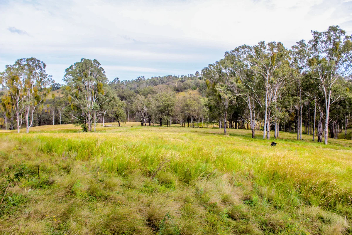 Additional image 7 of 5244 Bruxner Highway, Mummulgum NSW 2469