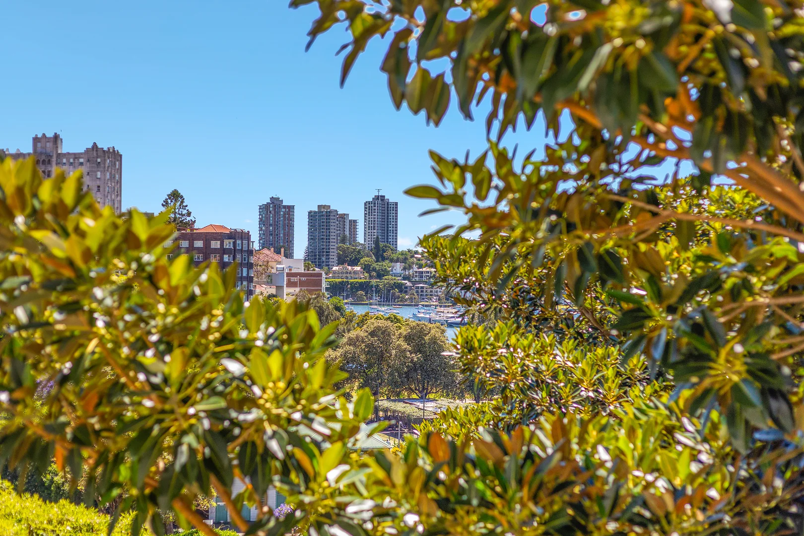 Additional image 2 of 64/50 Roslyn Gardens, Elizabeth Bay NSW 2011