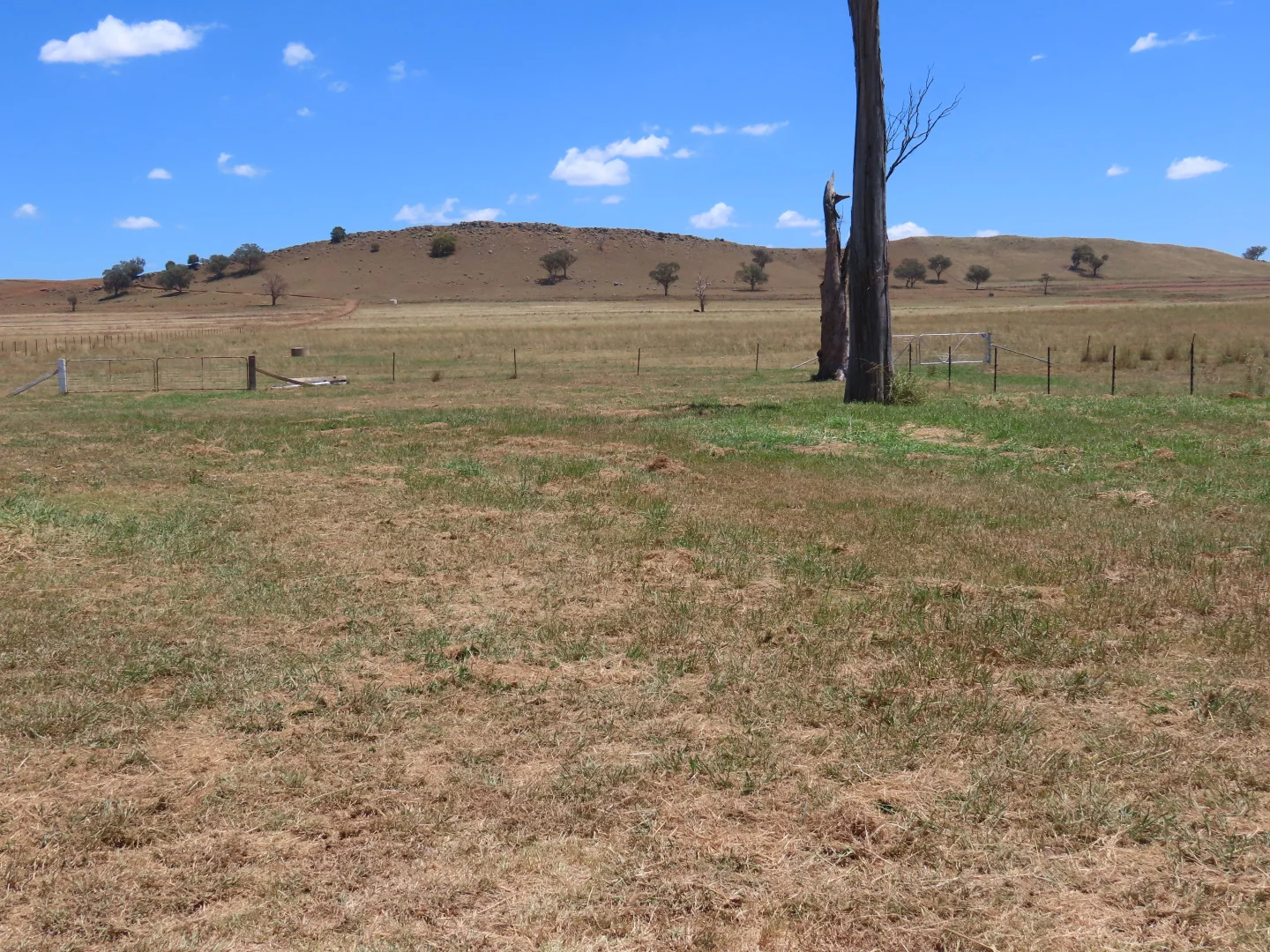 Additional image 8 of "Wattle-wee-doo" 14213 New England HWY, Timbumburi NSW 2340