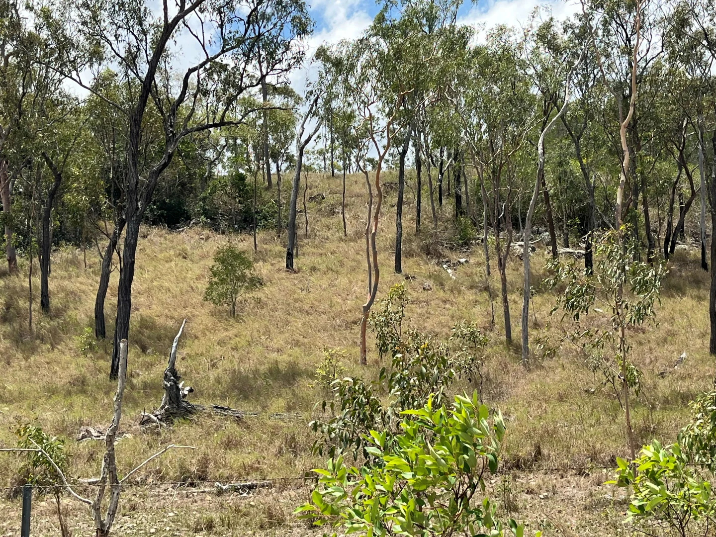 Additional image 9 of Blunder Park Station 382 Blunder Park Road, Ravenshoe QLD 4888