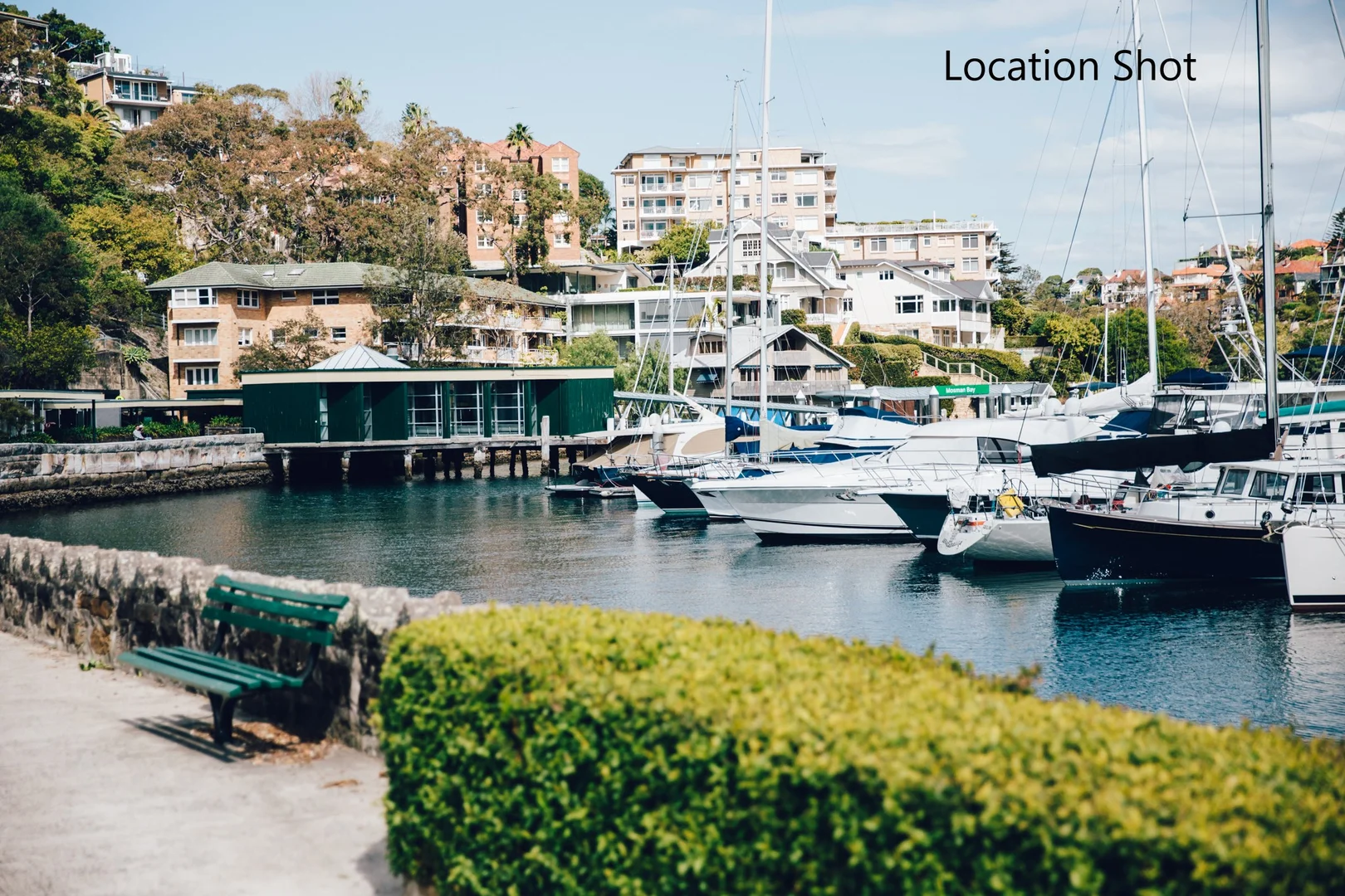 Additional image 13 of 161 Avenue Road, Mosman NSW 2088