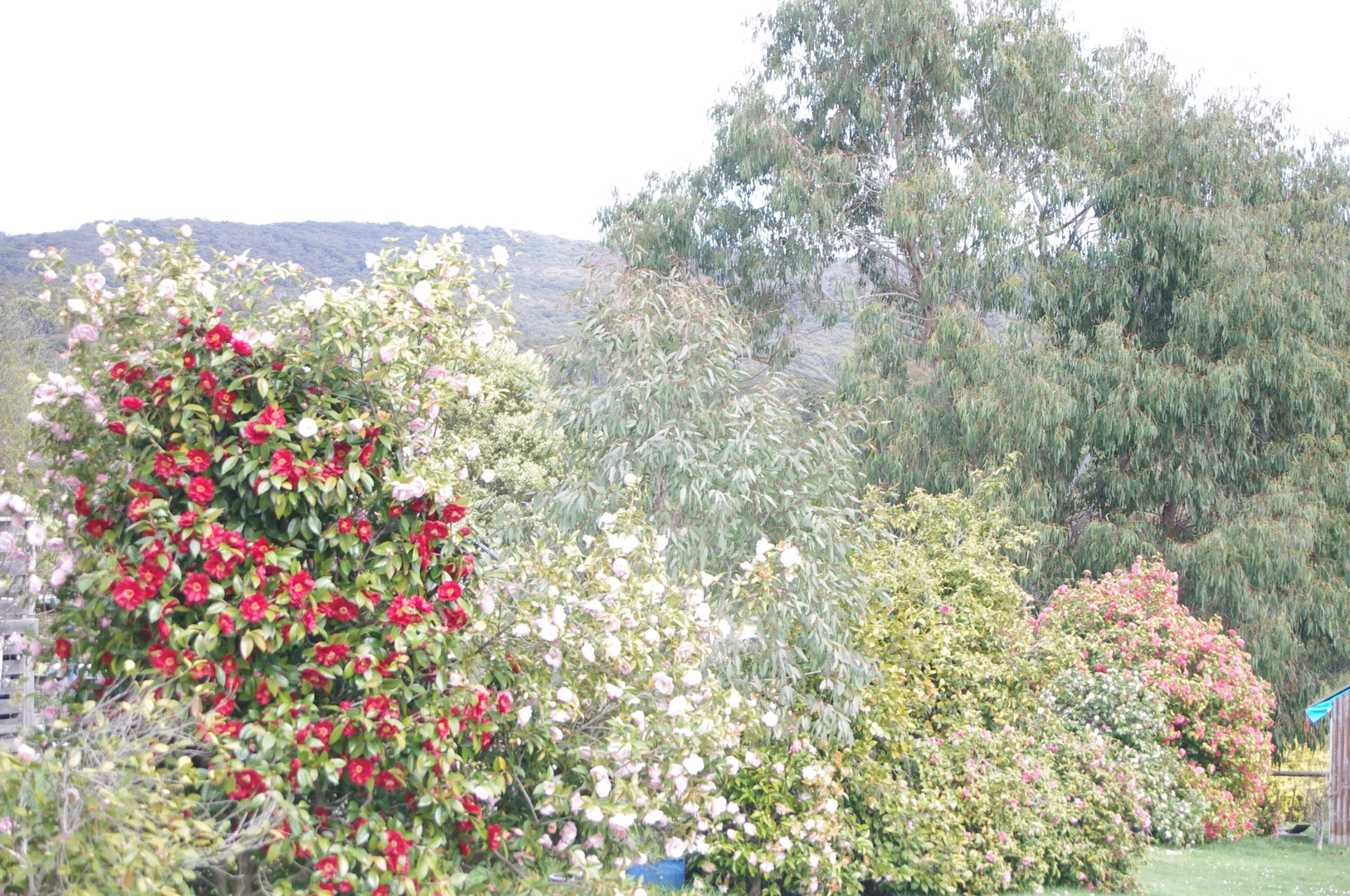 Additional image 3 of 17-19 Martin Street, Blackwood VIC 3458