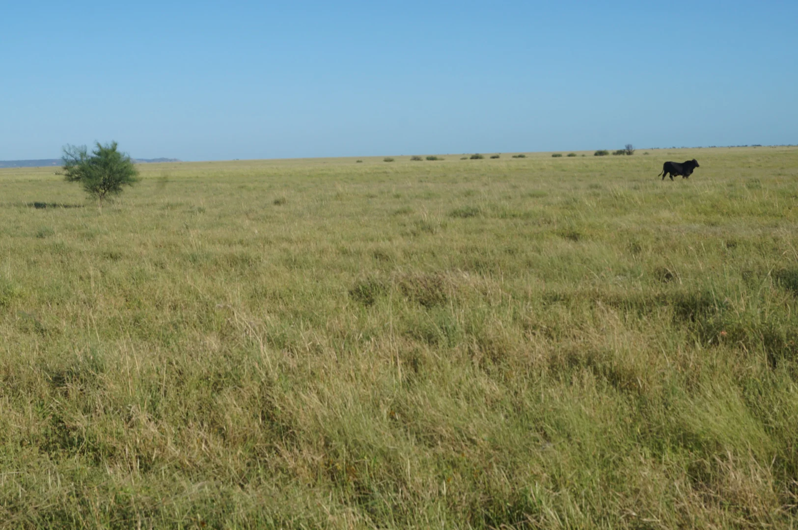 Additional image 13 of 1 Baratria Road, Longreach QLD 4730