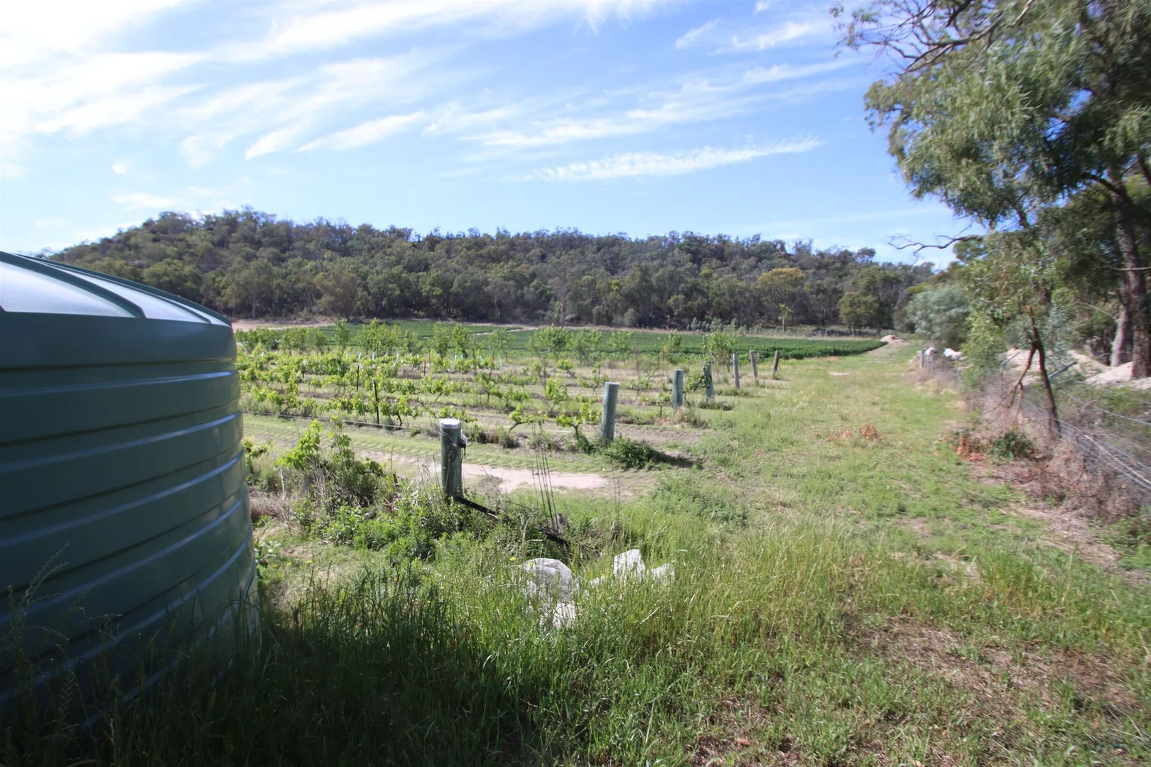 Additional image 9 of 27779A New England Highway, Fletcher QLD 4381