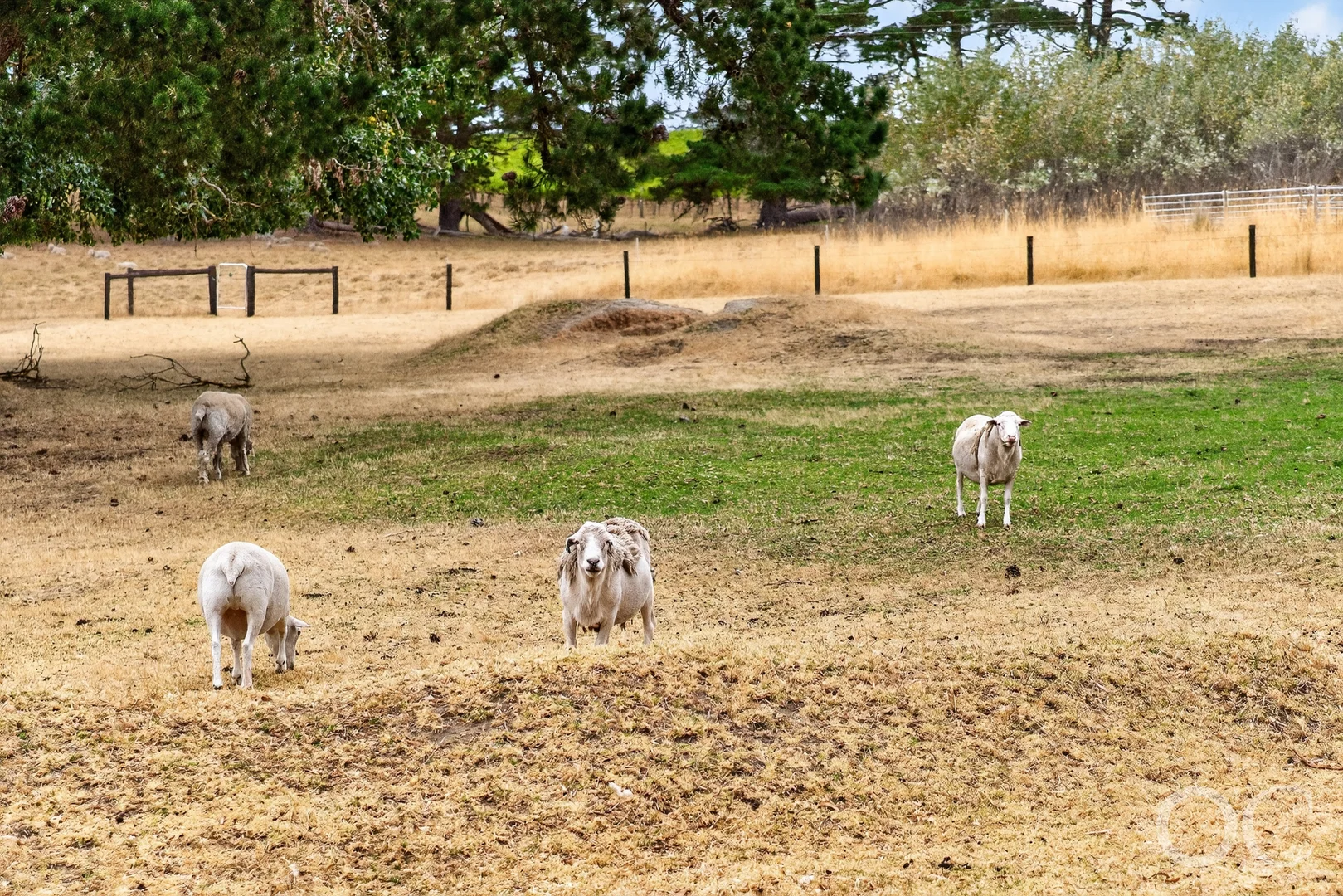 Additional image 31 of 3399 Victor Harbor Road, Mount Jagged SA 5211