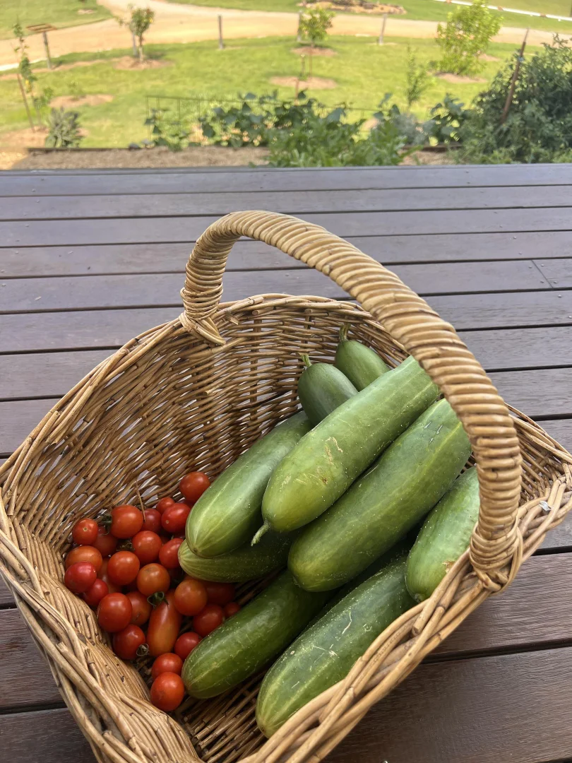 Additional image 15 of 6892 Gwydir Highway, Cangai NSW 2460