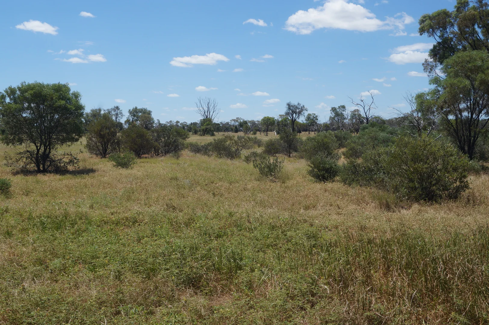 Additional image 14 of 1 Baratria Road, Longreach QLD 4730