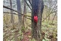 Additional image 21 of 298 Boone Rd, Toledo, WA, 98591