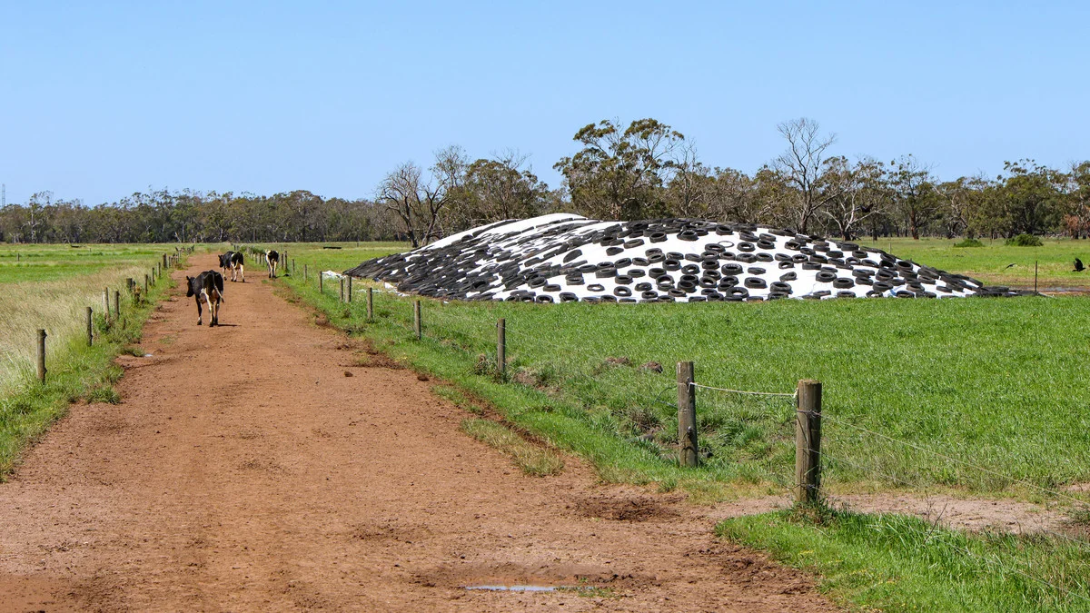 Additional image 26 of 111 Smith Street, Heywood VIC 3304