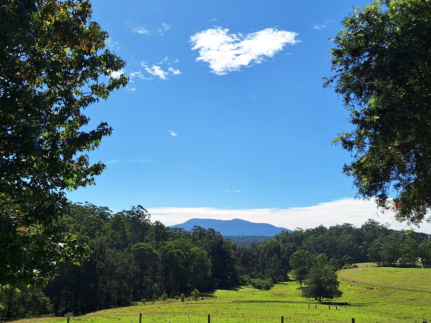 Additional image 5 of 336 Westrops Road, Coolagolite NSW 2550