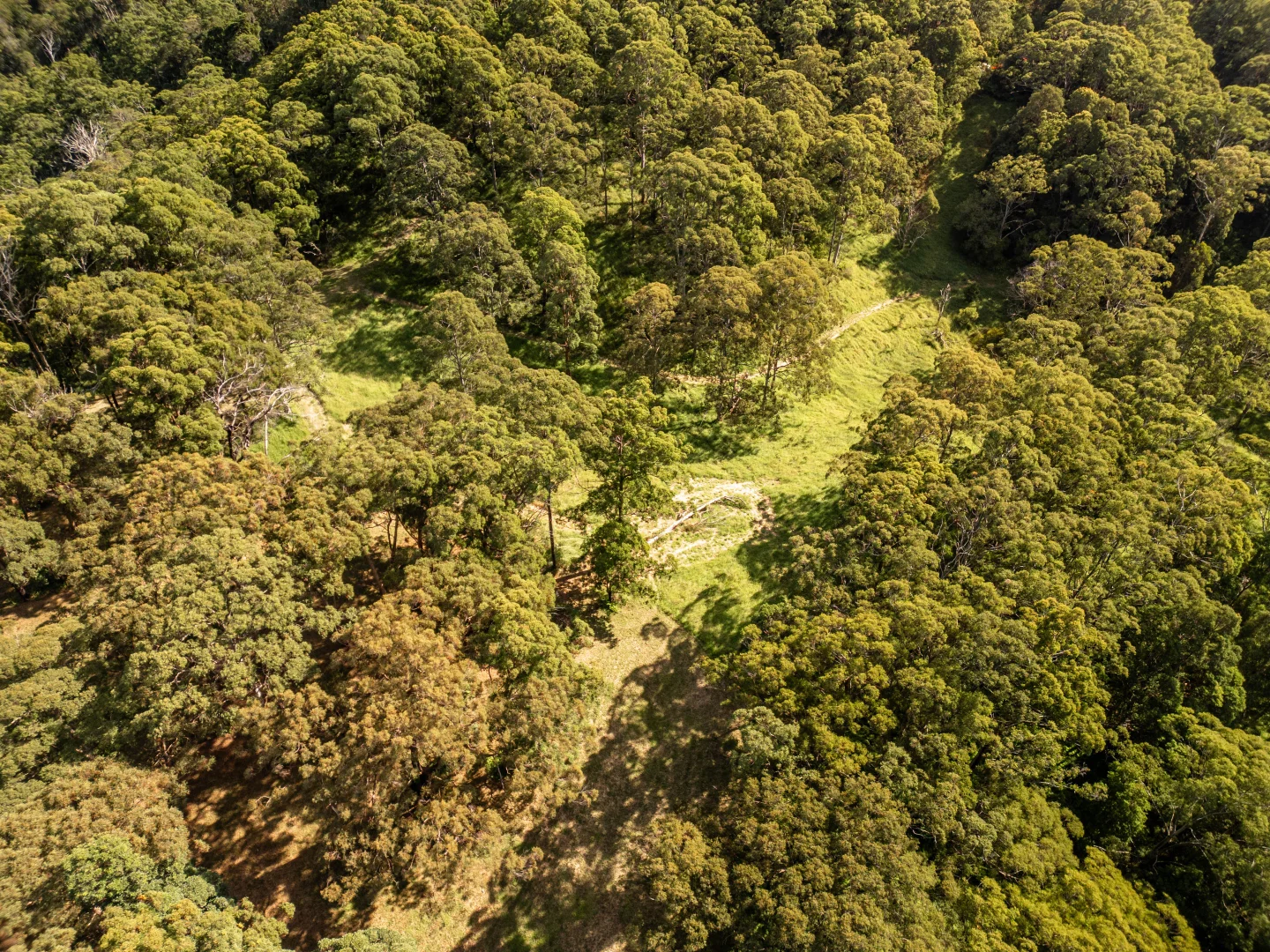 Additional image 15 of 618 Binna Burra Road, Beechmont QLD 4211