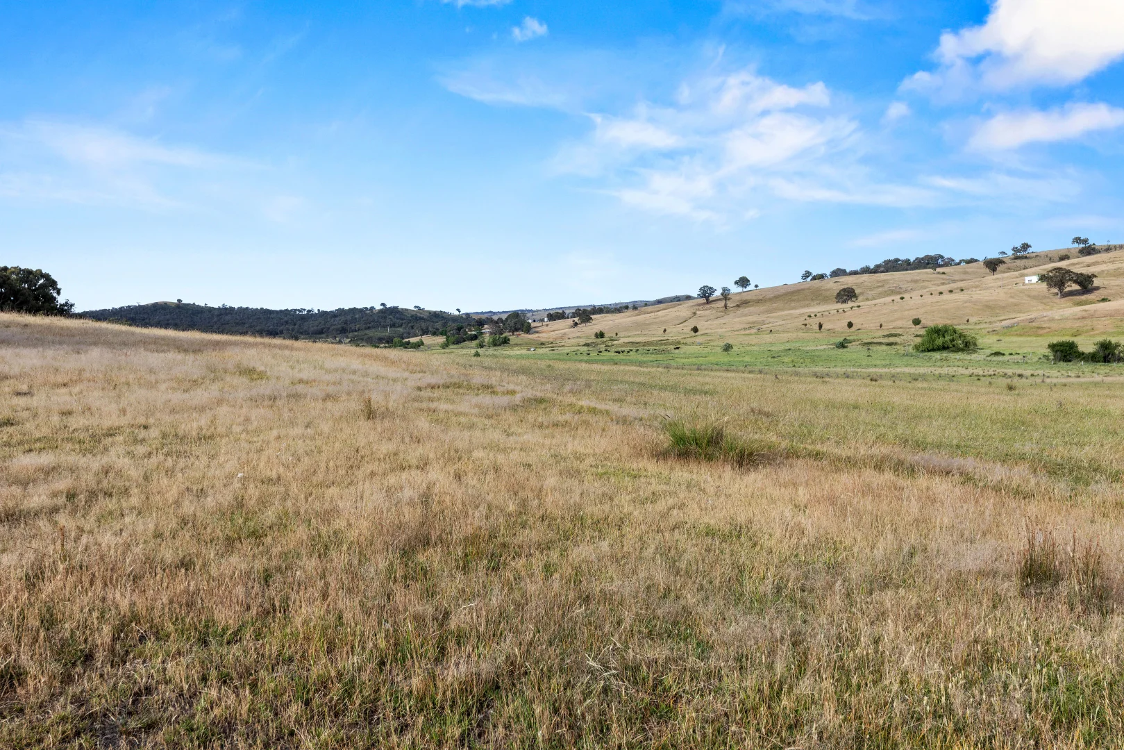 Additional image 7 of Lot 38 Gentle Destiny Road, Boorowa NSW 2586