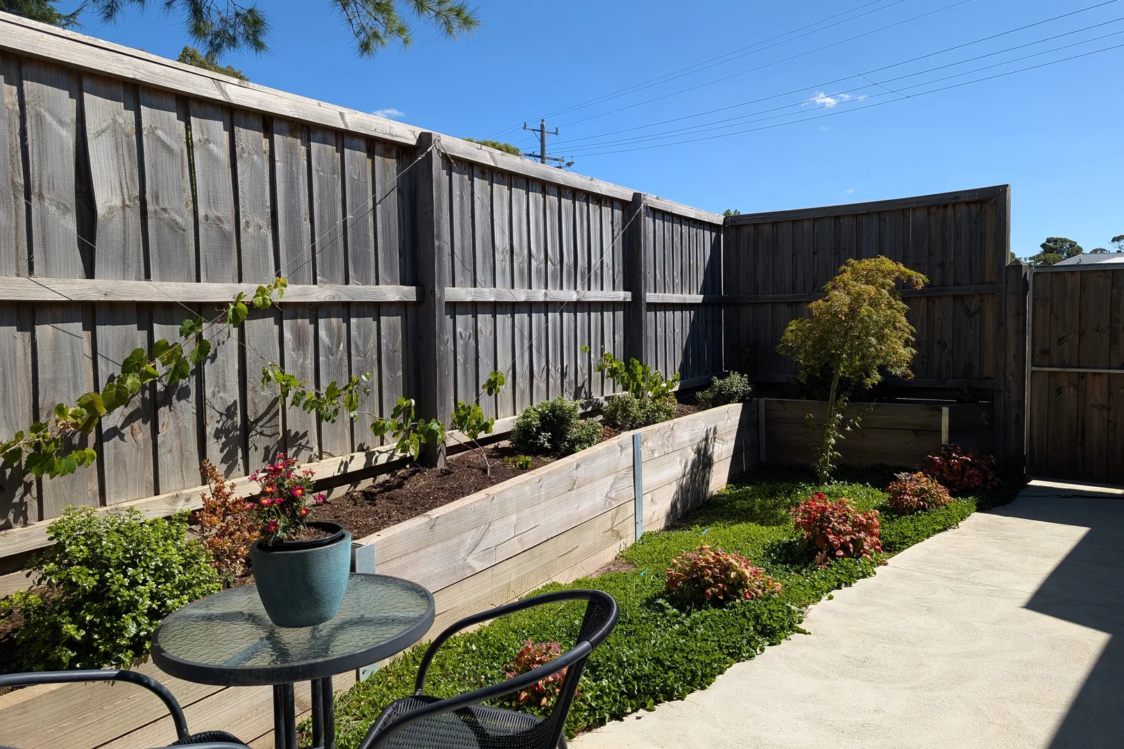 Additional image 27 of 24 Springs Road, Brown Hill VIC 3350