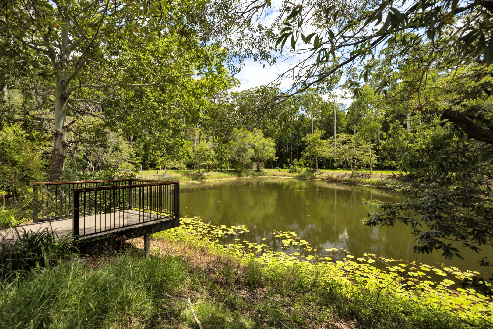 Additional image 48 of 142 Mary River Road, Cooroy QLD 4563