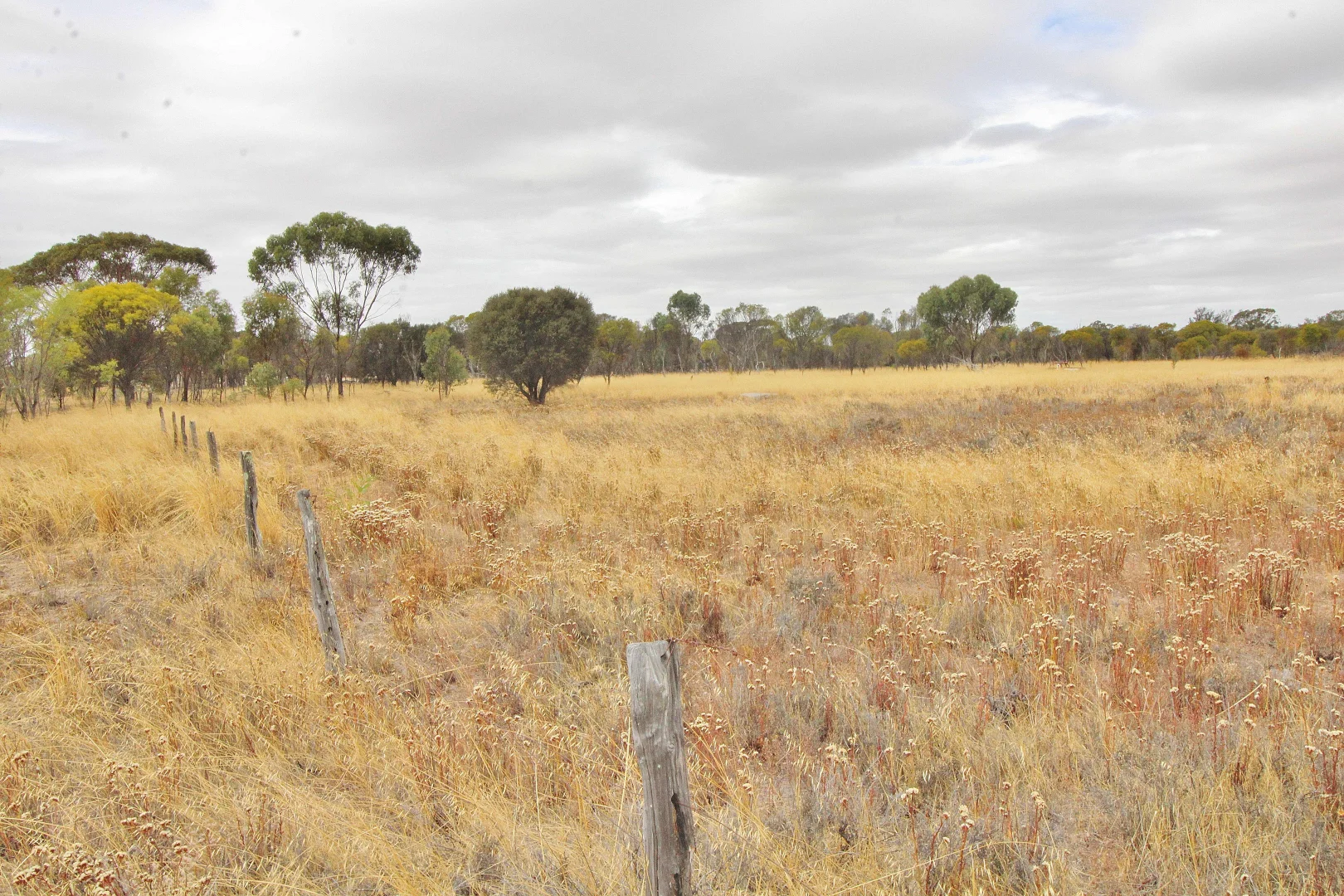 Additional image 3 of 458 Vernal, Wagin WA 6315