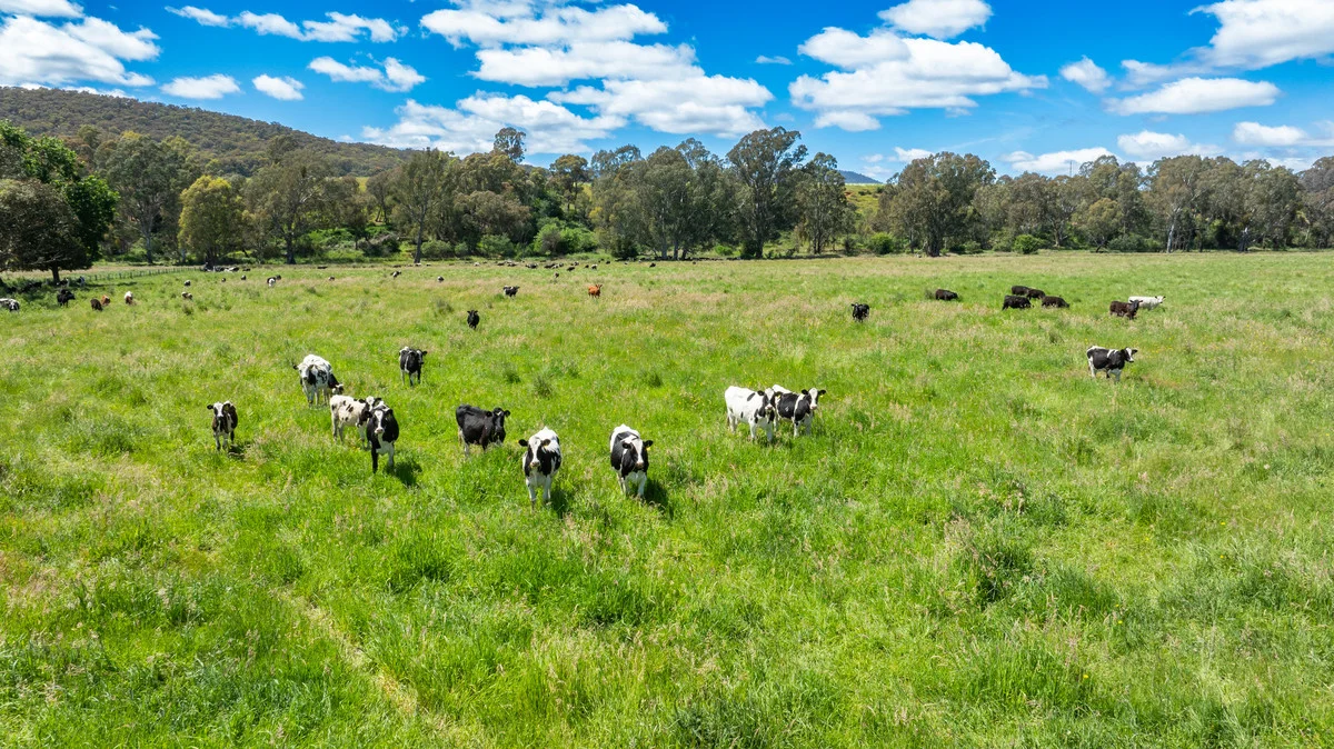 Additional image 25 of 1279 Edi-Cheshunt Road, Whitfield VIC 3733