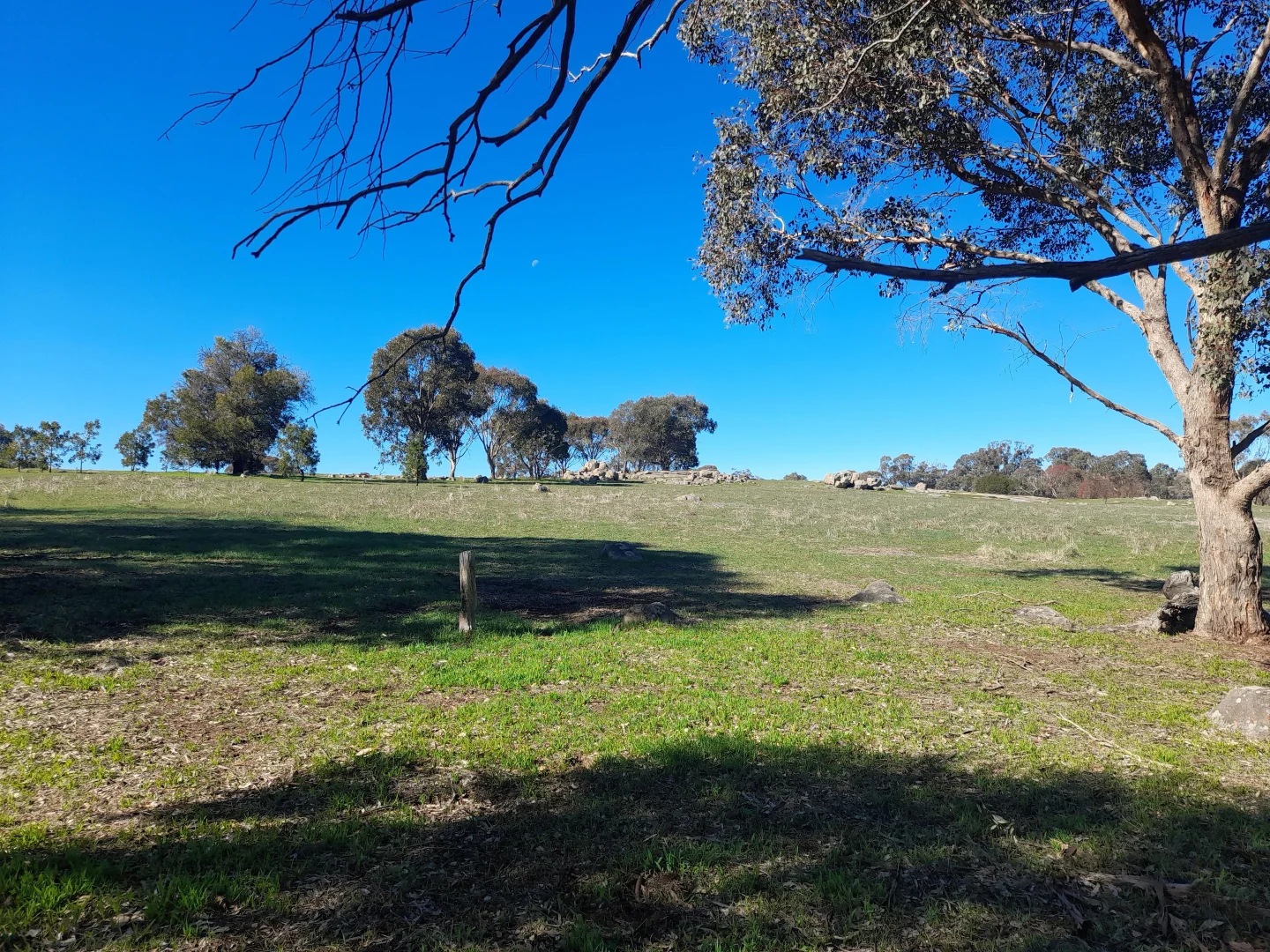 Additional image 9 of 2 Springvale Road, Lockwood South VIC 3551