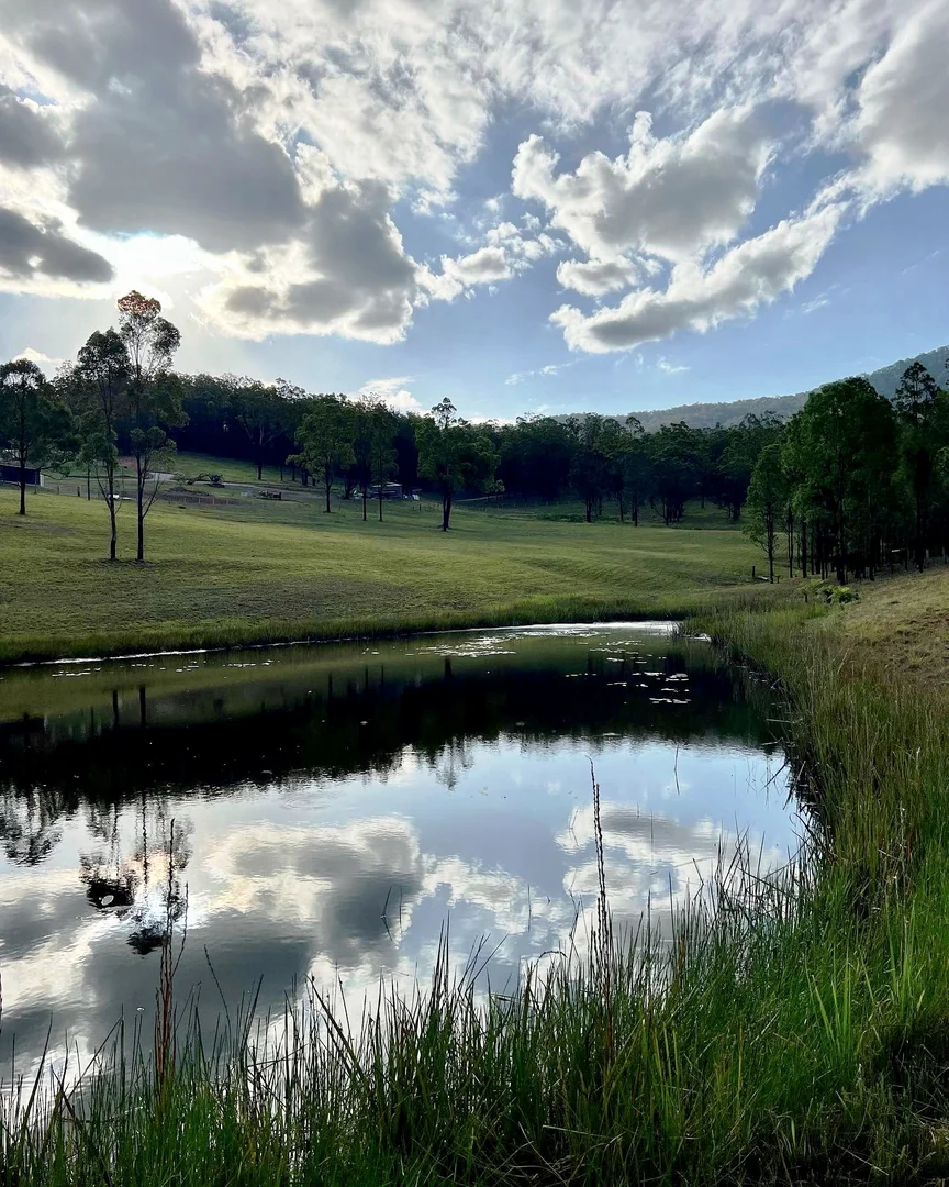 Additional image 33 of 6892 Gwydir Highway, Cangai NSW 2460