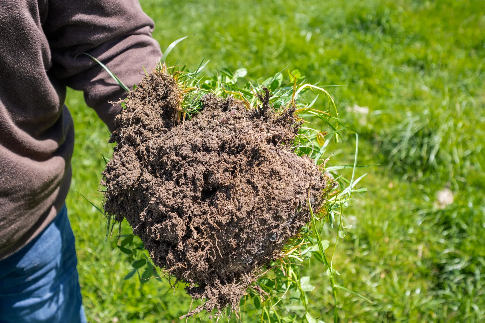 Additional image 2 of 701 Nora Creina Road, Robe SA 5276