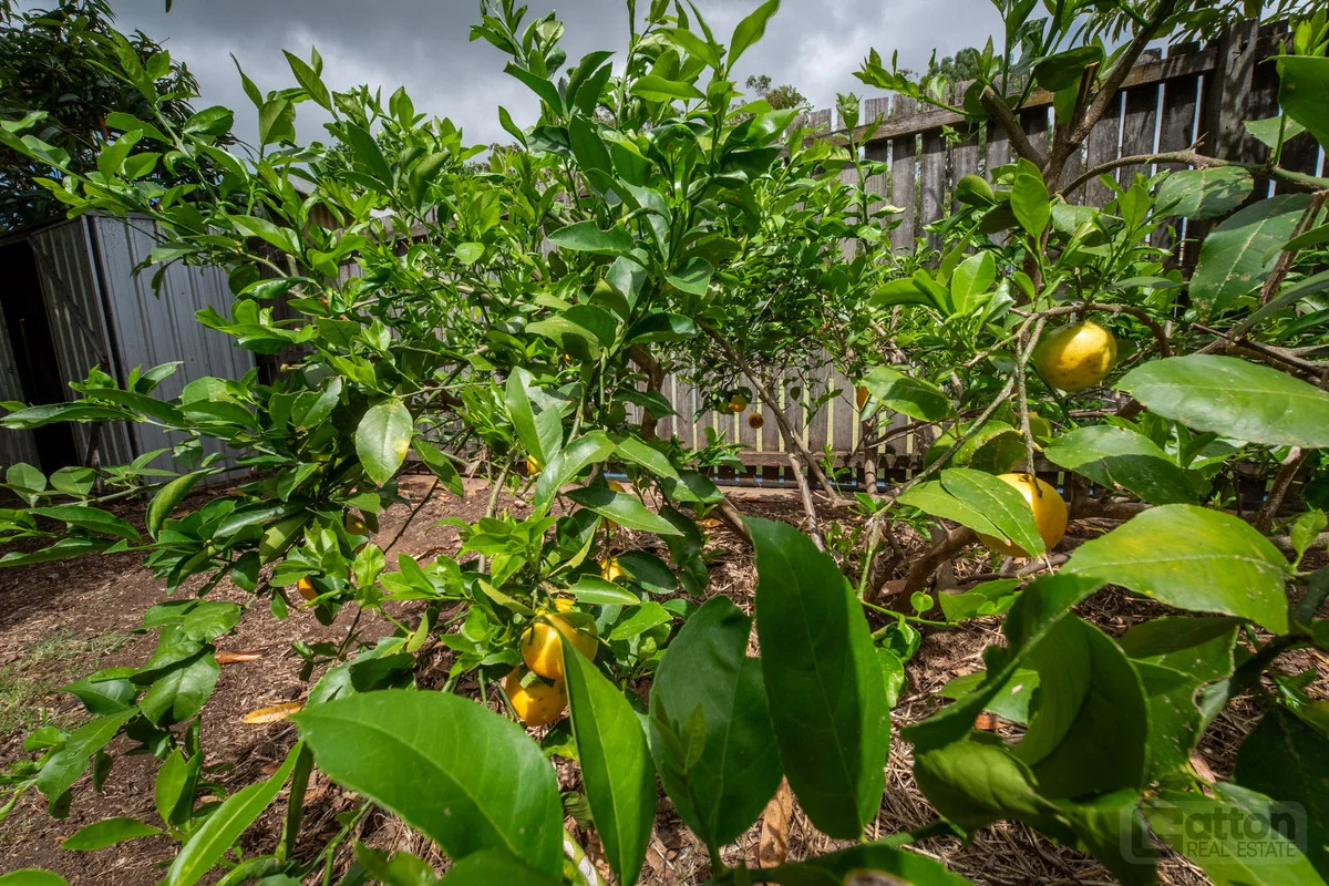 Additional image 29 of 37 South Street, Gatton QLD 4343