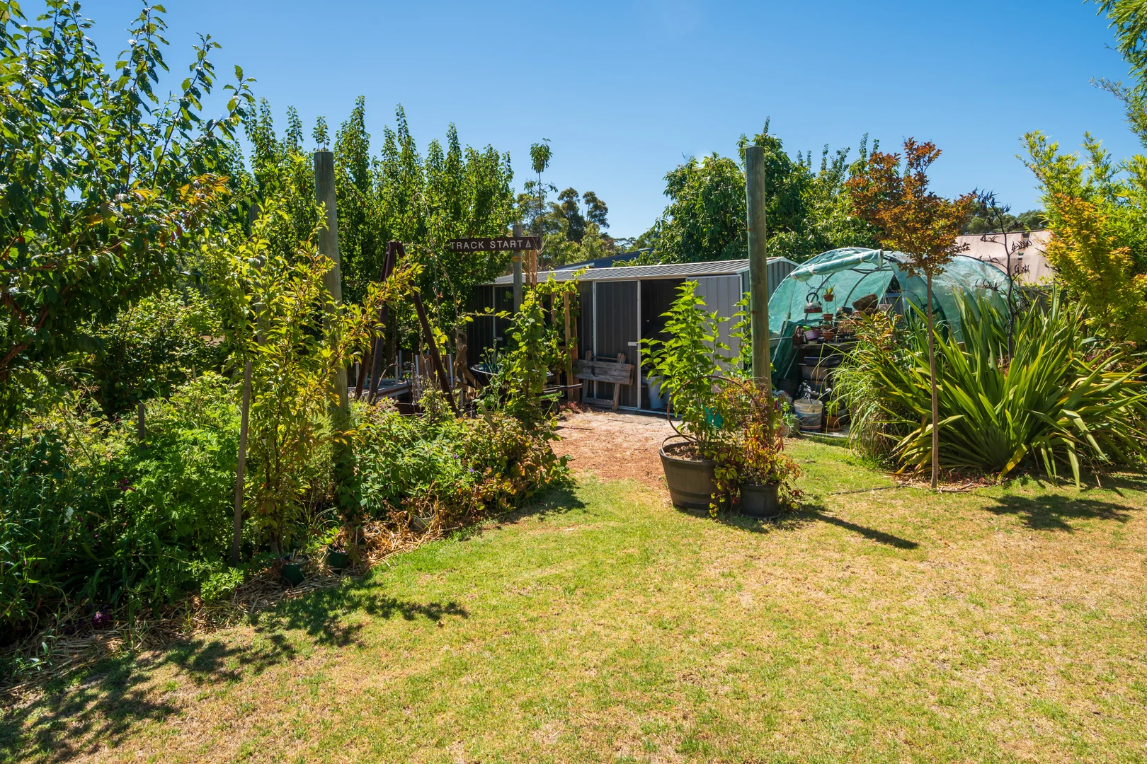 Additional image 21 of 86 Pritchard Street, Manjimup WA 6258