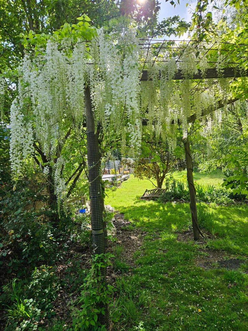 Additional image 24 of 356 montagu road, Smithton TAS 7330