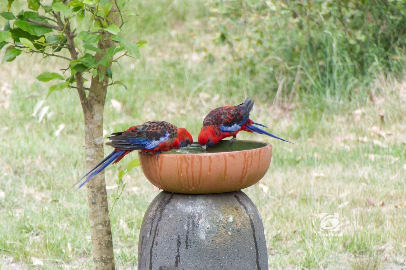 Additional image 22 of 148 Veldens Road, Toorloo Arm VIC 3909