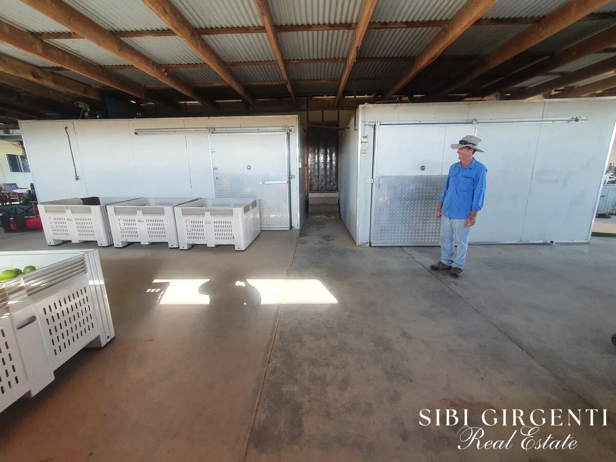 Additional image 6 of 84 Chisari Road, Mutchilba QLD 4872