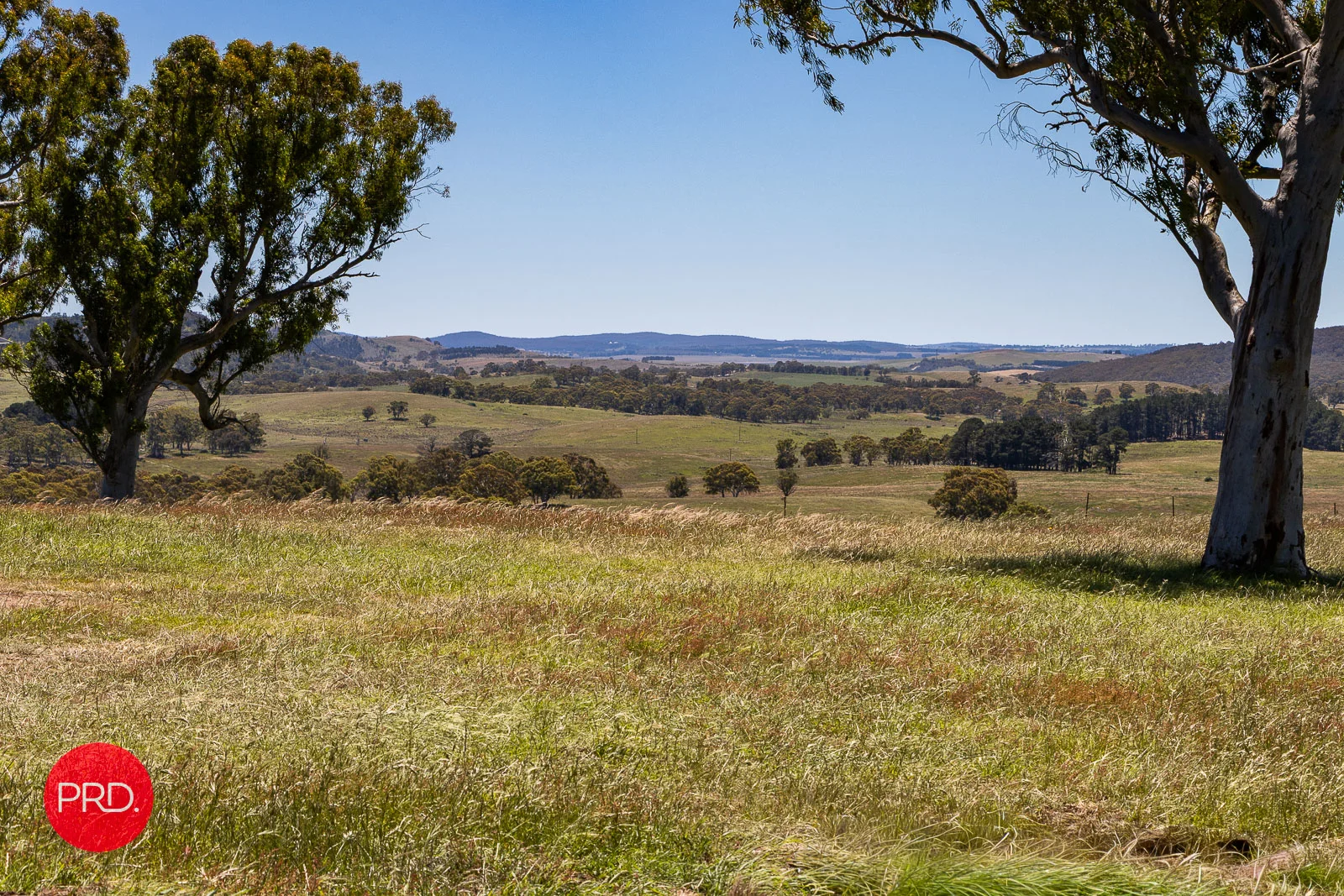 Additional image 10 of 2287 Bungendore Road, Tarago NSW 2580