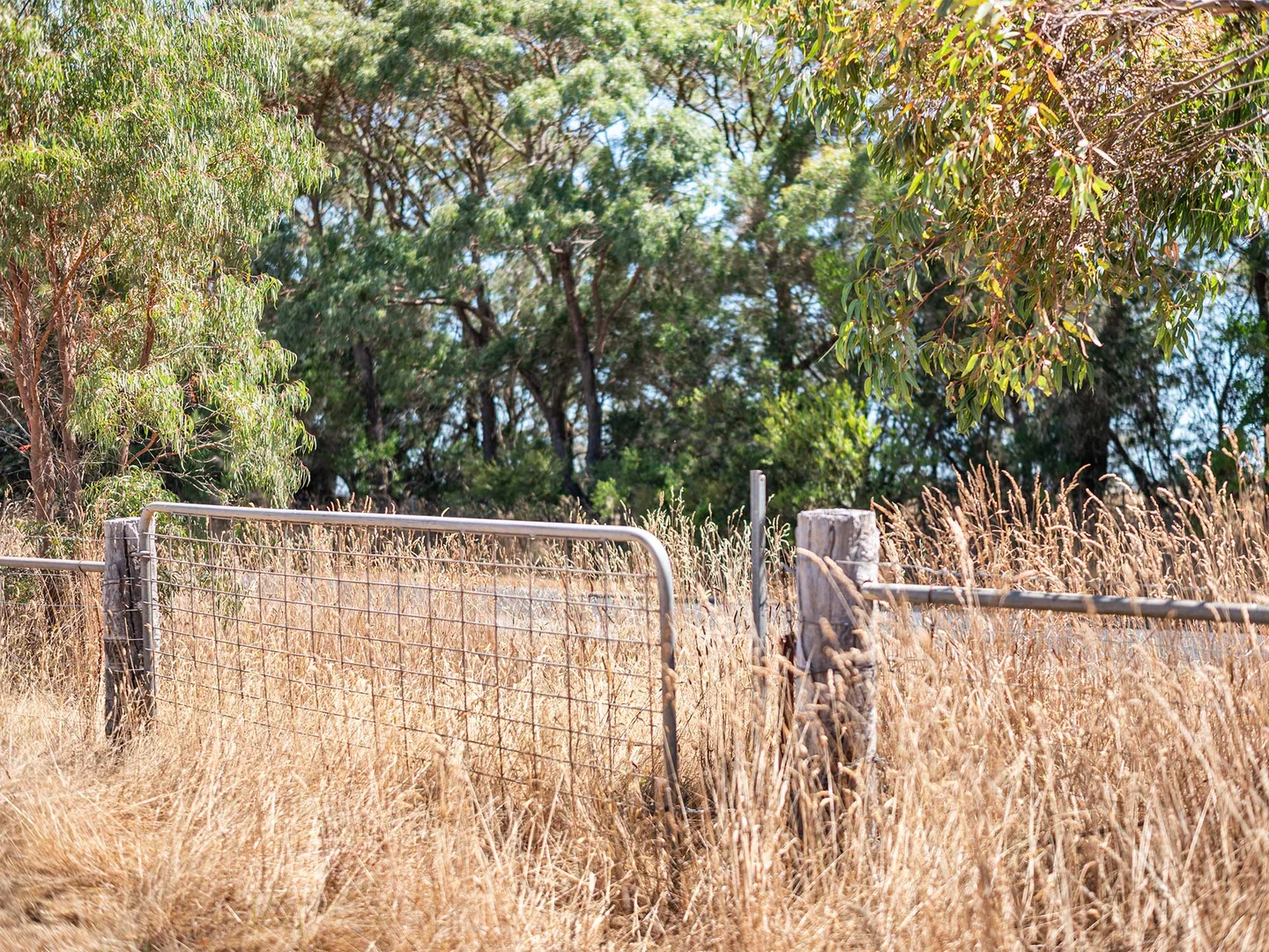 Additional image 13 of 42 Beveridges Road, Hamilton VIC 3300