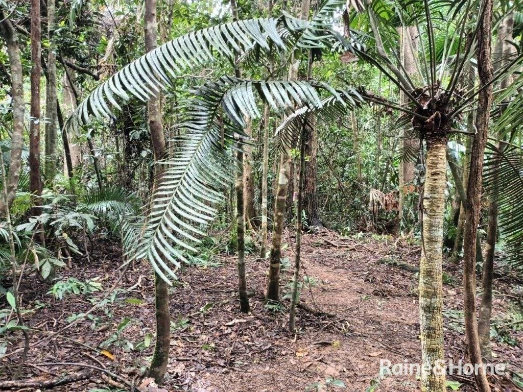 Additional image 21 of Lot 11 Milky Pine Road, Kimberley, Daintree QLD 4873
