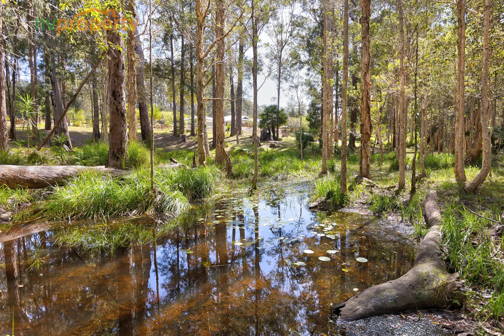 Additional image 19 of 12 Koala Close, Valla NSW 2448