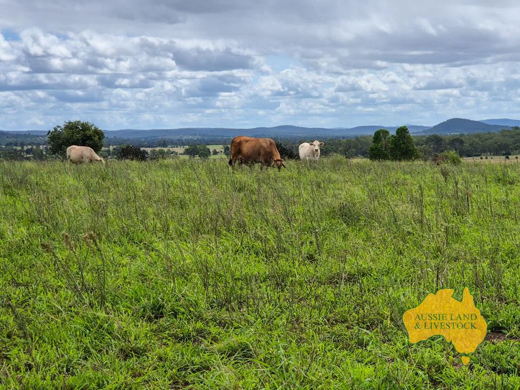 Additional image 17 of 296 Cloyna West Road, Cloyna QLD 4605