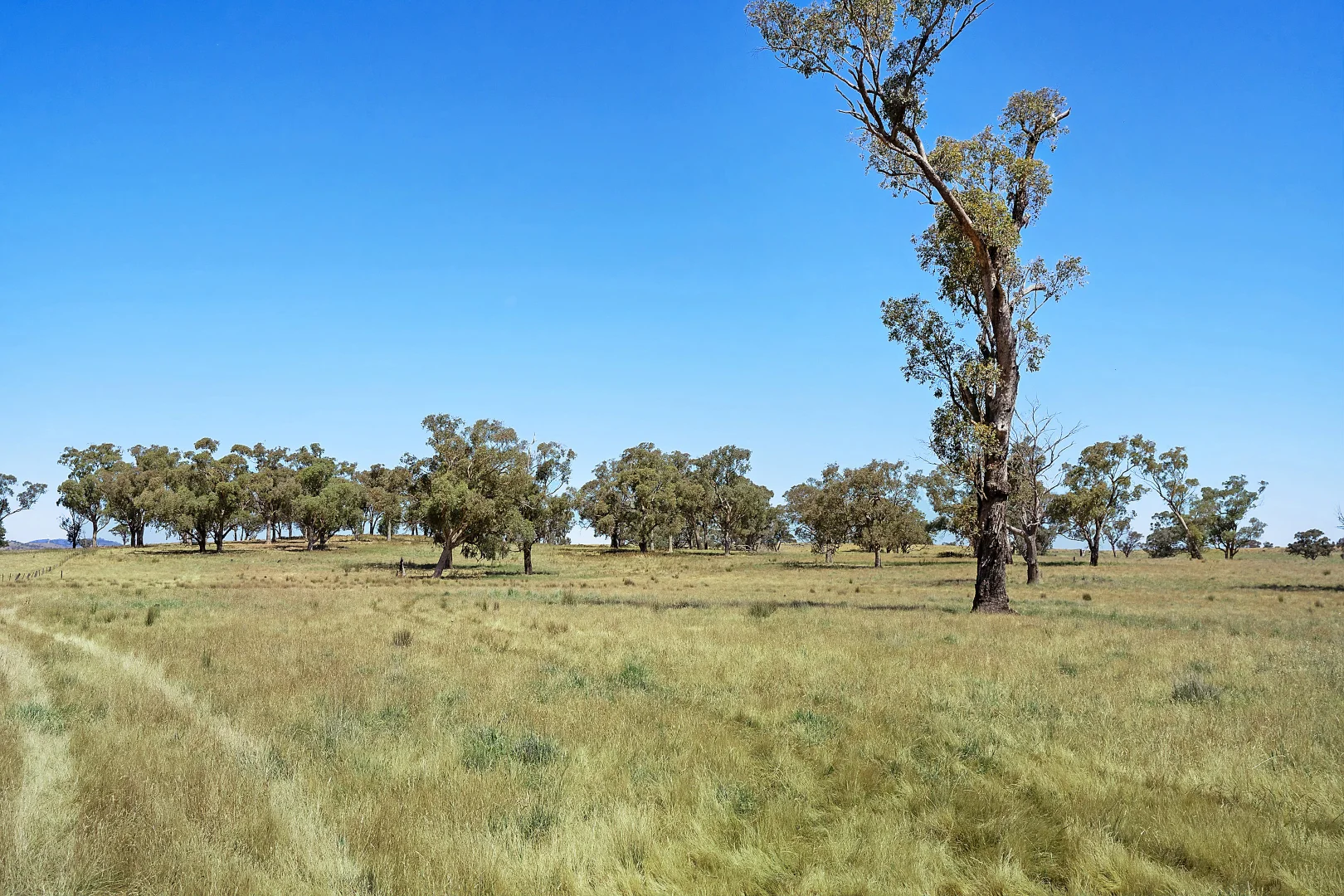 Additional image 26 of 2593 Four Mile Creek Road, Orange NSW 2800