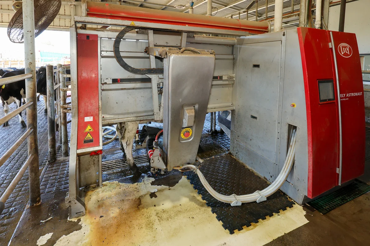 Additional image 11 of 111 Smith Street, Heywood VIC 3304