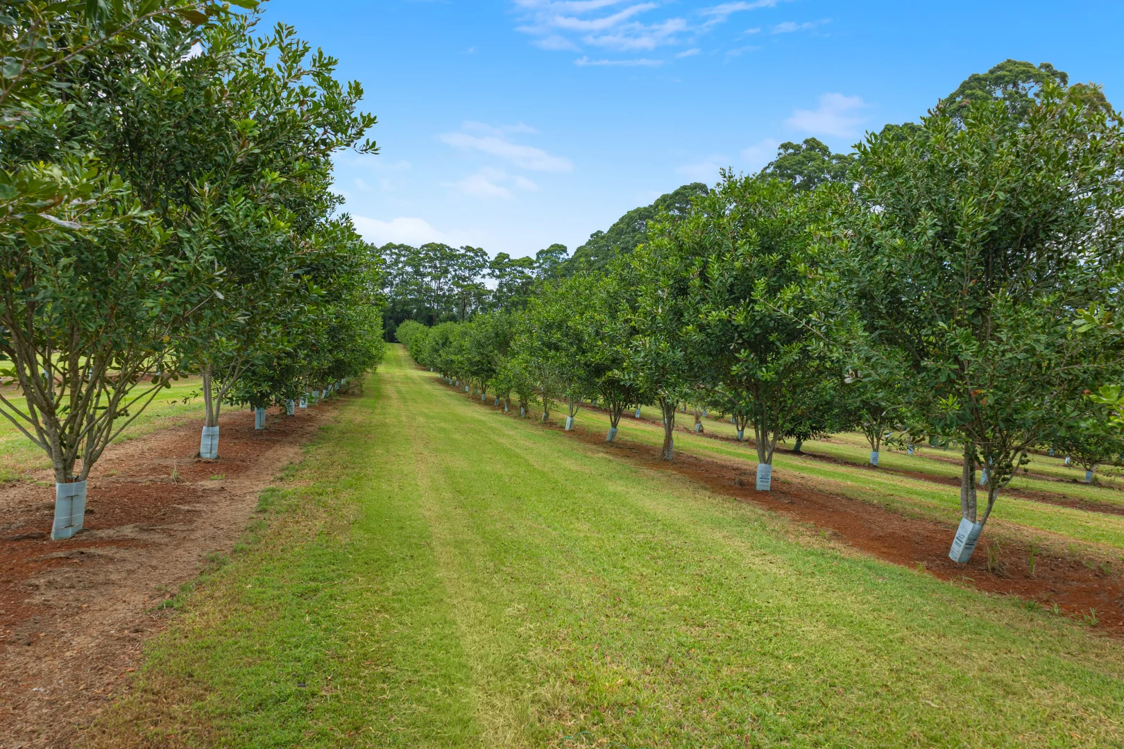 Additional image 12 of 657 Ellis Road, Rous NSW 2477