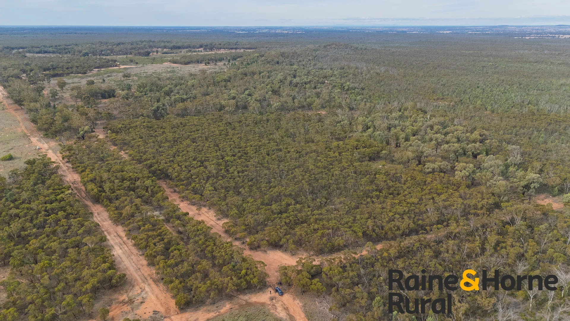 Additional image 16 of 20 Sarsfield Road, Tullamore NSW 2874