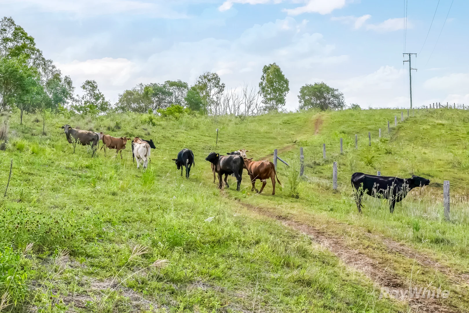 Additional image 14 of 35515 Bruce Highway, Monduran QLD 4671